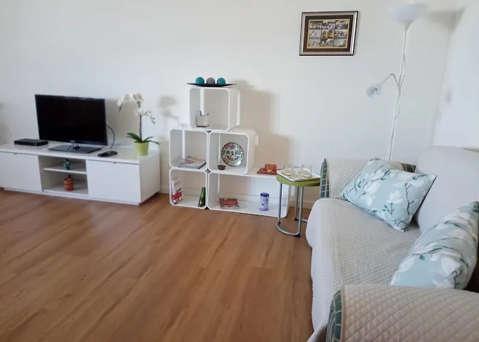 Vistas Sobre O Rio Tejo *