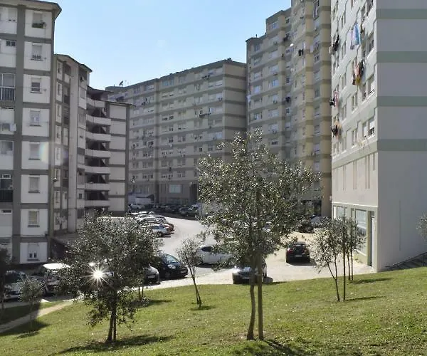 Vistas Sobre O Rio Tejo *